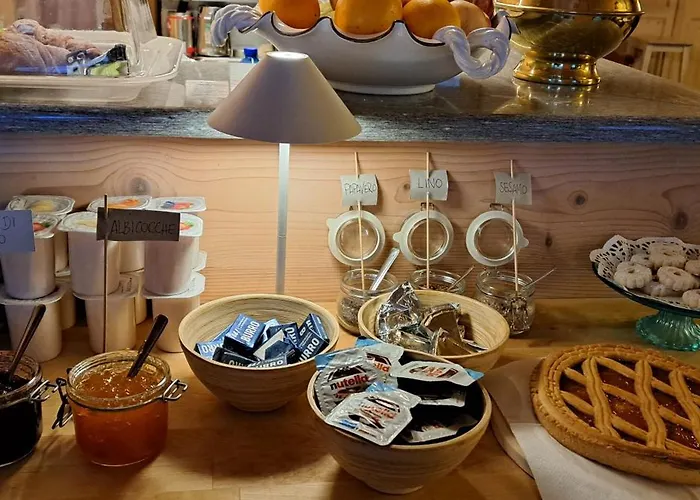 公寓式酒店 维斯舍尔酒店