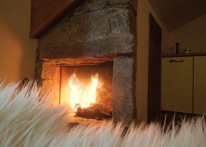 维斯舍尔酒店 公寓式酒店